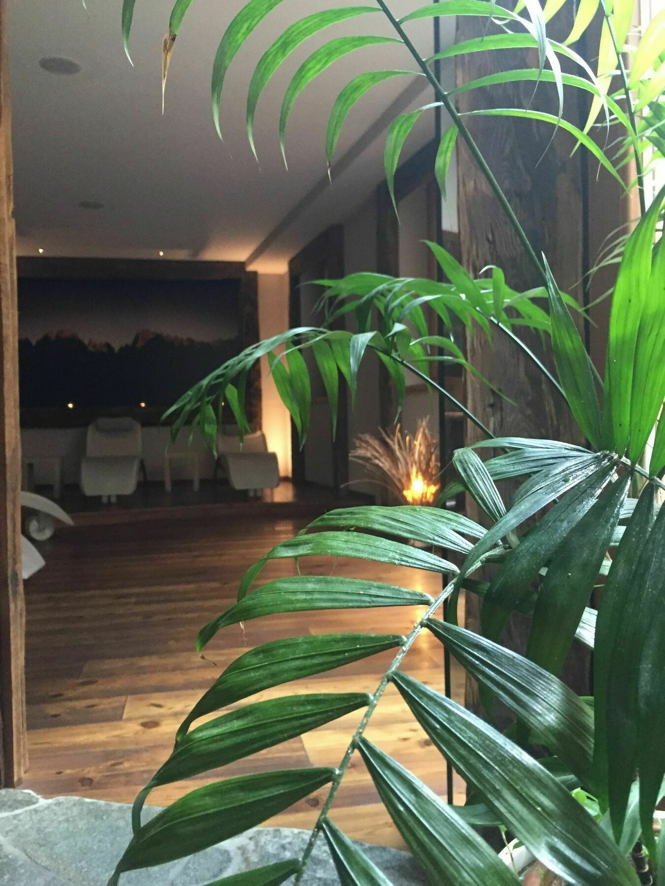 Maribel Hotel Madonna Eksteriør bilde